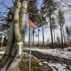 Beskid Śląski, Pasmo Równicy, zdjęcie Magdalena Przysiwek