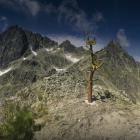 Polski Grzebień (2200 m n.p.m.) z widokiem w stronę masywu Gerlacha | Fot. Karol...