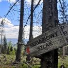 Rogasiowy Szlak to jedna z atrakcji Beskidu Sądeckiego | Fot. Joanna Kurek