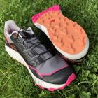 Buty trailowe Salomon Thundercross, zdjęcie Michał Parwa