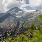 Fot. @CAMPIGLIODOLOMITI