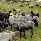 Spotkanie na szlaku Fot. Adam Rowicki