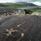 Wśród petroglifów można odnaleźć liczne zwierzęta za wyjątkiem ptaków
zdjęcie Konrad Tulej