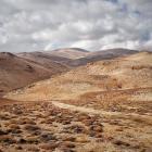 Archiwum Agnieszki Jastrzębskiej