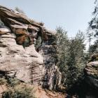 Fot. Paulina Grzesiok