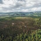 Widok na torfowisko pod Zieleńcem. Góry Orlickie i Zieleniec z wieży widokowej. Zdjęcie...