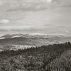 Fot. Radosław Szczepanek