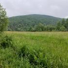 Widoki na szlaku. Zdjęcie Kajetan Domagała