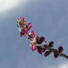 Fot. Jan Krzeptowski-Sabała