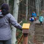 zdjęcie Kinga Liwak