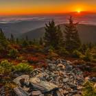 Wschód słońca na Lasockim Grzbiecie, zdjęcie Rafał Kotylak