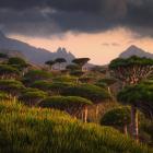 Fot. Paweł Uchorczak