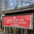 Pogórze Ciężkowickie jest siedliskiem dla wielu cennych gatunków roślin i zwierząt |...
