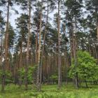 Wędrówka po Sieradowickim Parkiem Krajobrazowym to sama przyjemność. Fot Tomasz Wolff