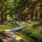 Izerskie szlaki nie są tak oblegane jak te w pobliskich Karkonoszach. Zdjęcie Rafał...