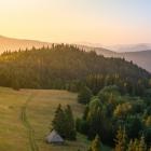 Podszczytowa polana na Magurkach – tutaj warto zostać na dłużej. Odpocząć i cieszyć się...