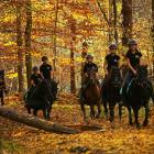 Fot. Anna Deszczycńska