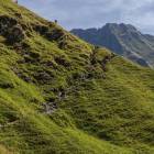 Fogarasze. Beskidzkie grzbiety z czasem zamieniają się Budowa gór sprawia, że wydaje...