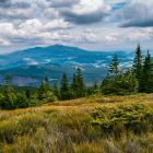 Widok z Pilska w kierunku Babiej Góry. Zdjęcie Adobe Stock