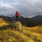 Bukowe Berdo w Bieszczadach na szlaku turystycznym Rzeszów – Grybów. Zdjęcie Magdalena...