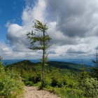 Widok ze szlaku na Halę Krupową Fot. Tomasz Wolf