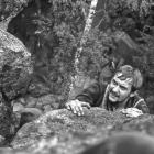 Fot. archiwum Krzysztofa Wielickiego