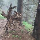 GSB Rytro - Krościenko Fot. Dorota Bartosiewicz