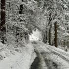 Fot. Kacper Szymański