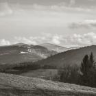 Fot. Radosław Szczepanek