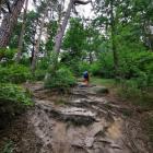 Podejście na Sępią Górę w Izerach | Fot. Milena Witecka-Sznajder