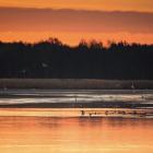 Dolina Baryczy Fot. Paweł Uchorczak