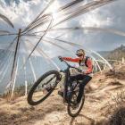 Fot. Materiały organizatora