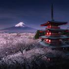 Zdjęcie Karol Nienartowicz