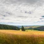 Góry Orlickie, choć niewysokie, mają swój urok o każdej porze roku | Fot. Adobe Stock
