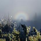 Babia Góra Widmo Brockenu Fot. Dr Tomasz Pasierbek
