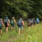 Węgry nie kojarzą się z górami. Ale warto wybrać się na trekking przez góry Mecsek. To...