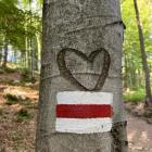 GSB to 500 km czerwonego szlaku | Fot. Piotr Jędrzejas