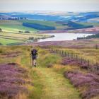 Znaczna część szlaku przekracza rozległe bagna i torfowiska, czasem trzeba przeprawić...