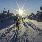 Najsławniejsza sieć szlaków biegówkowych w Norwegii liczy pona d 630 km. Zdjęcie Anna Kłos