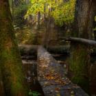 Fot. Krystian Drożdż