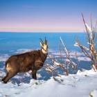 Tatry Zachodnie. Zdjęcie Bartek Muracki