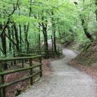 Fot. Andrzej Otrębski