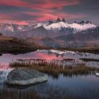 Fot. Karol Nienartowicz