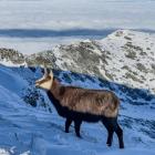 Fot. Jan Krzeptowski-Sabała