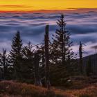  Nad Przełęczą Okraj Fot. Rafał Kotylak 

 Aparat Nikon D750 obiektyw sigma...