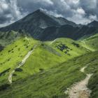 Fot. Mikołaj Gospodarek 