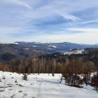 Beskid Śląski, Pasmo Równicy, zdjęcie Magdalena Przysiwek
