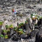 Fot. Katarzyna Juszczyk