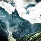 Fot. Adobe Stock