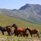 W Górach Parâng kotły lodowcowe wypadają czasem po przeciwnej stronie gór, niż byśmy...